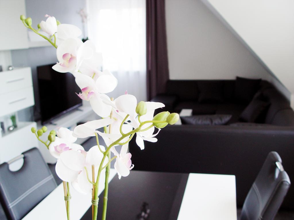 La Domus Premium Osnabrueck Lotte Apartment Exterior photo