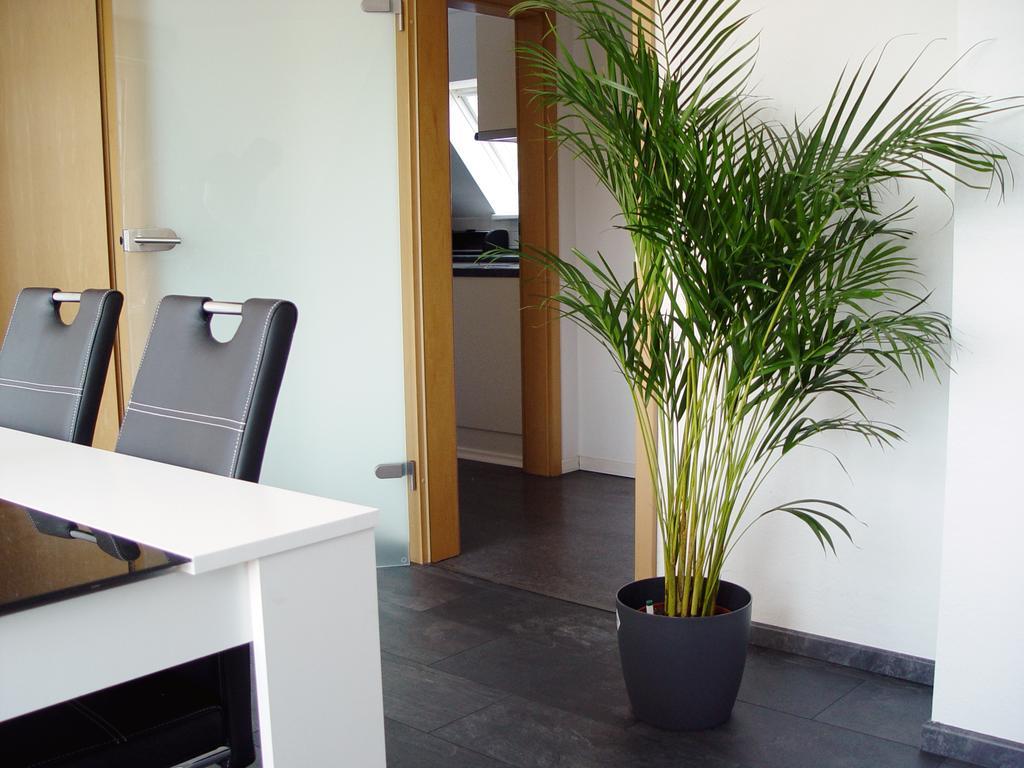 La Domus Premium Osnabrueck Lotte Apartment Exterior photo